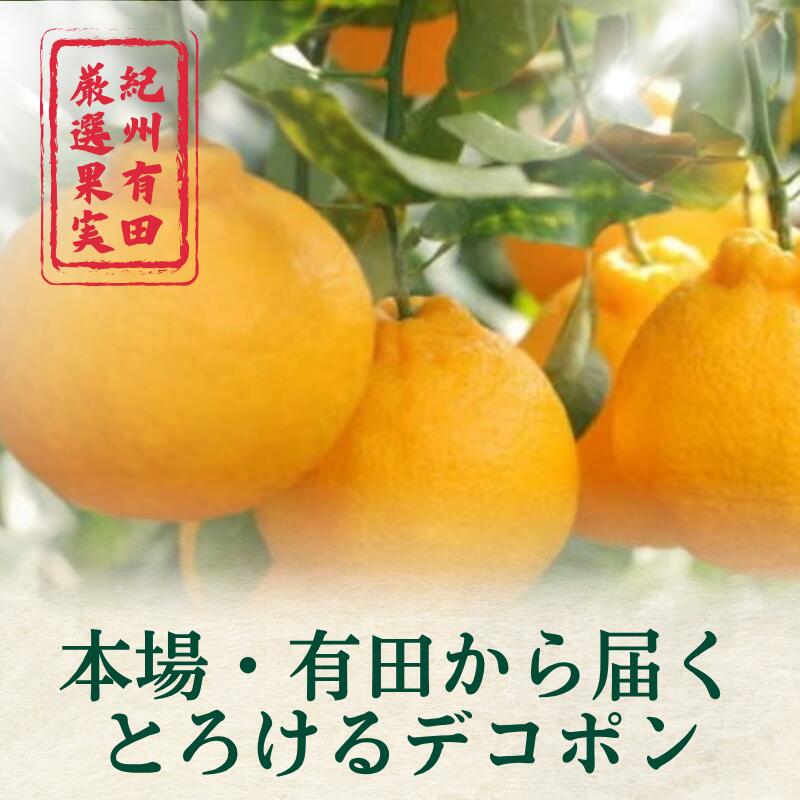 【ふるさと納税】【濃厚】 紀州 有田産 デコポン 約5kg（18玉〜24玉入り・青秀以上） / 甘い 和歌山 柑橘 ※2月中旬～3月中旬頃に順次発送予定 //dekopon サムネイル2