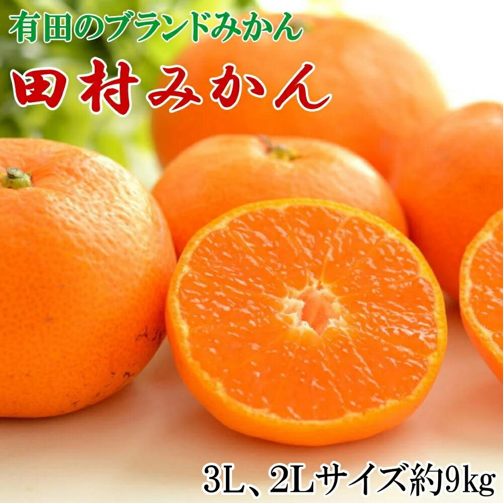 【ブランドみかん】 田村みかん 約9kg 【選べるサイズ】 11月下旬～12月下旬頃順次発送 / 温州みかん 有田 みかん 柑橘 和歌山 //mandarin