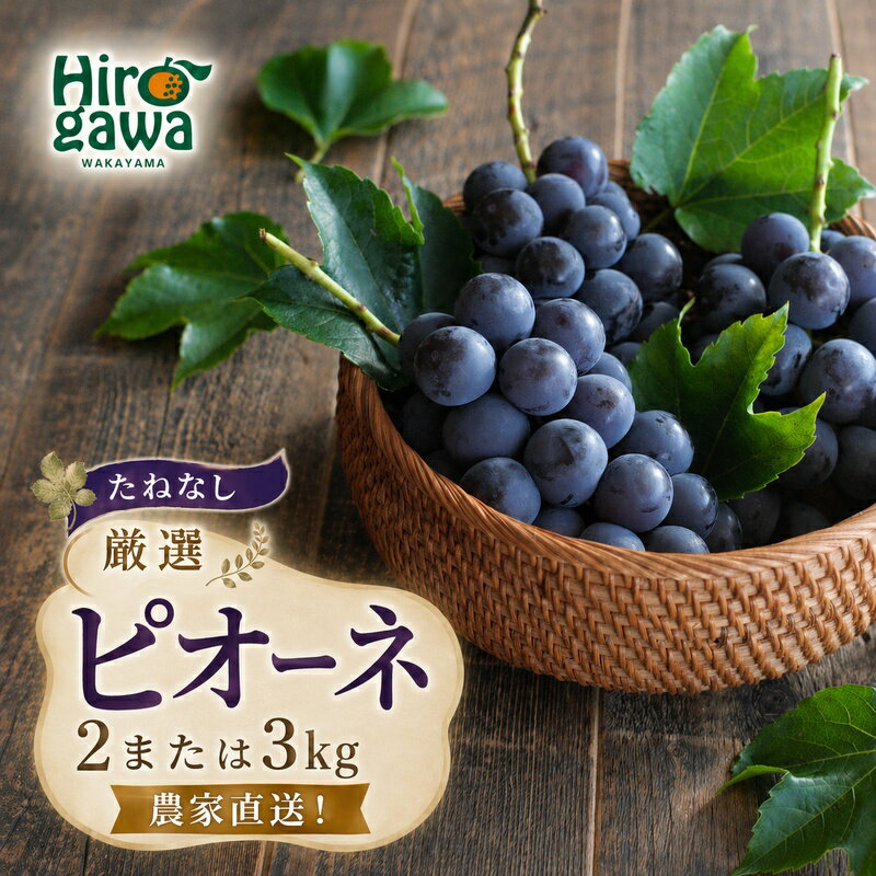 ピオーネ たねなし 厳選 / ぶどう 種無し 甘い 高級 和歌山 2kg 3kg ※2026年8月中旬～2026年9月中旬に順次発送 ※北海道・沖縄・離島への配送不可 //hokaf
