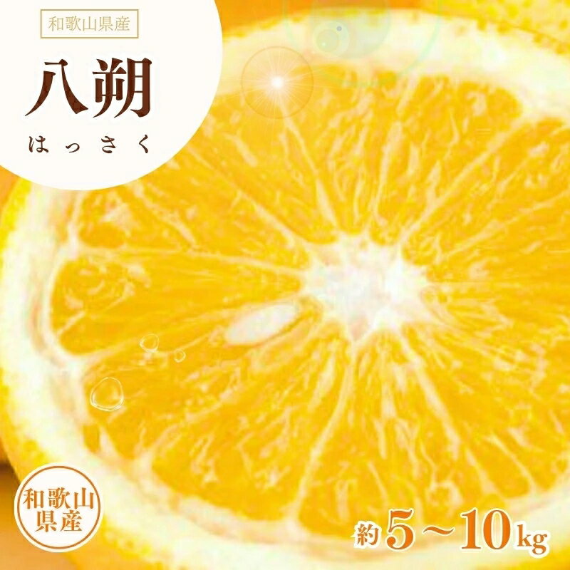 八朔 5kg 10kg (サイズおまかせ) / はっさく みかん 柑橘 果物 湯浅町 田村産 ※1月下旬～4月上旬頃に順次発送予定 //hassaku