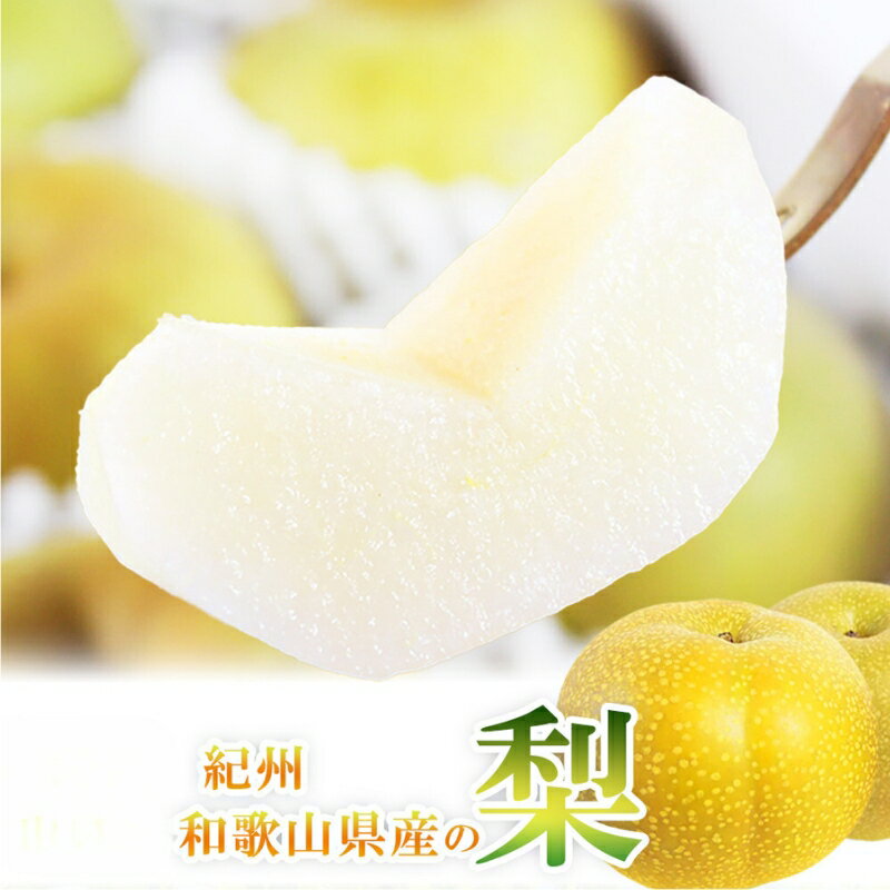 梨 / なし ナシ 甘い 和歌山 化粧箱入 ※2026年8月中旬頃～9月上旬頃発送予定 ※離島配送不可 //hokaf