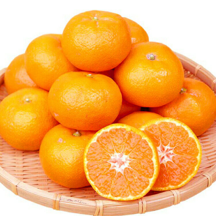 【ふるさと納税】 【定期便】 ●全3回● 産地直送定期便 【温州みかん・まりひめ・紀州デコ】 / みかん いちご 甘い 和歌山 ※離島配送不可 //teiki サムネイル2