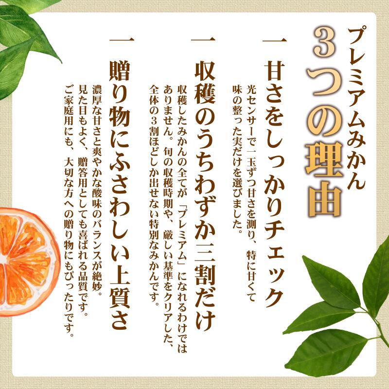 【ふるさと納税】＼光センサー選別／極 有田みかんプレミアム 選べる内容量【光センサー 高糖度選別品】2S～Mの小玉サイズ 有機質肥料100%◆ | 光センサー選別 温州みかん みかん 高糖度 ※2025年11月下旬～2026年1月上旬頃に順次発送予定 ※北海道・沖縄・離島への配送不可 サムネイル2