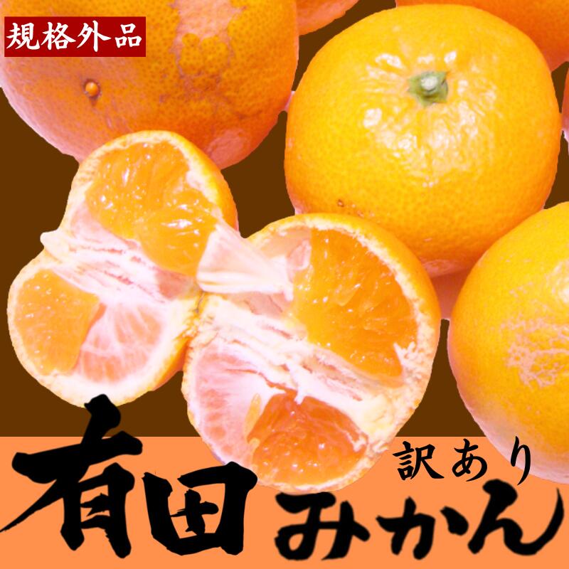 【先行受付】【訳あり】有田みかん 選べる内容量 ｜ 農家直送 訳あり ご家庭用 サイズ混合 光センサー選別 温州みかん みかん 訳あり わけあり 家庭用 ※2025年11月中旬～12月下旬頃に順次発送予定 ※北海道・沖縄・離島への配送不可