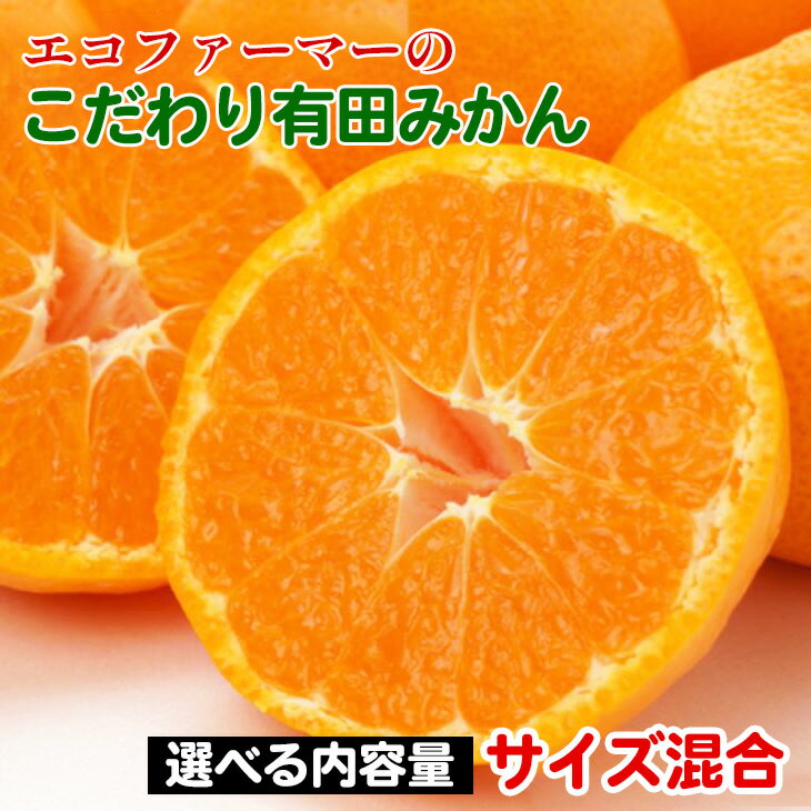 【選べる内容量！】エコファーマーのこだわり 有田みかん (サイズ混合)◇ ※2025年11月中旬～2026年1月中旬頃に順次発送予定 ふるさと納税 みかん