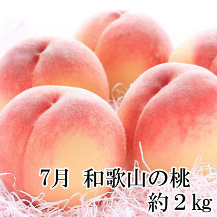 【ふるさと納税】〈定期便〉【7・9・11月 全3回】産直・和歌山フルーツ（桃・ピオーネ・有田みかん）｜フルーツ ふるーつ 果物 くだもの 詰め合わせ 果物定期便 夏 秋※北海道・沖縄・離島への配送不可 サムネイル2