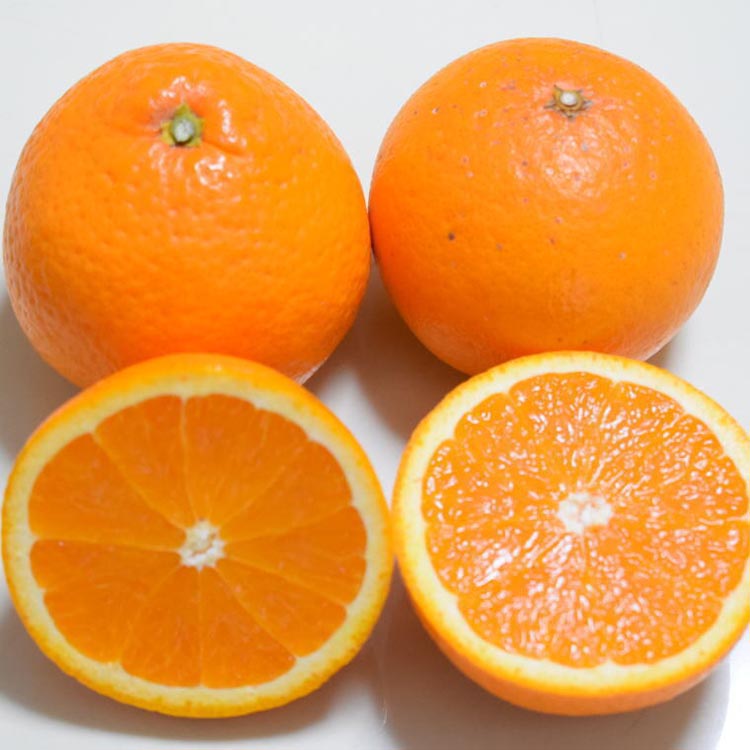 【ふるさと納税】【濃厚】有田産清見オレンジ約5kg（サイズおまかせまたは混合）ご家庭用 ※2026年2月中旬～3月下旬頃に順次発送予定 サムネイル2