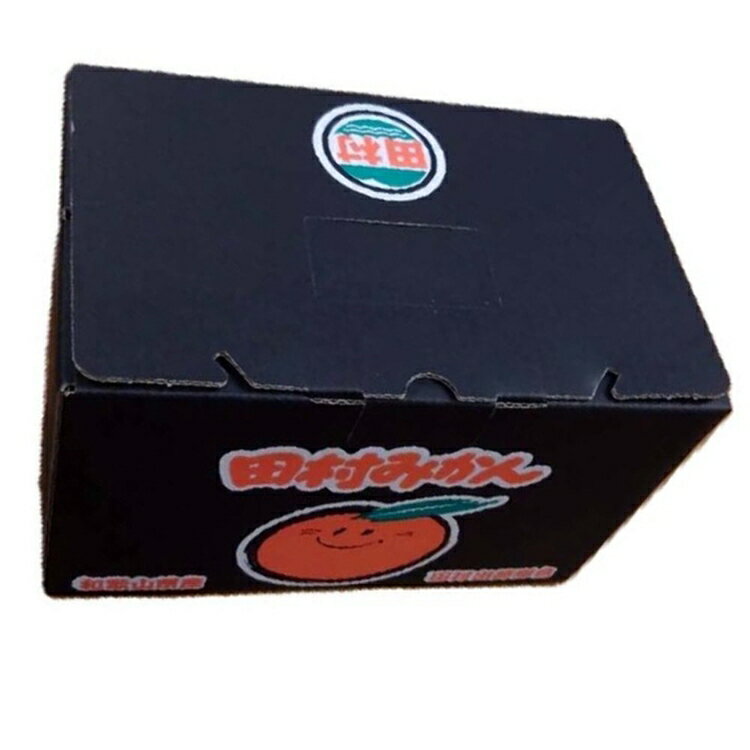 【ふるさと納税】【ブランドみかん】田村みかん約3kg(S.M.Lサイズおまかせ・秀品) サムネイル3