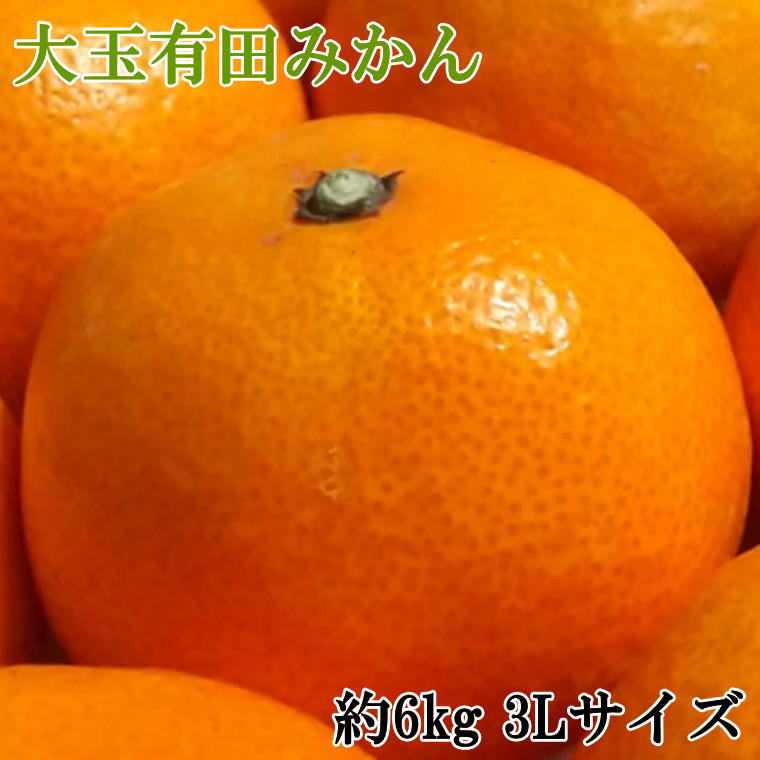 [秀品]和歌山有田みかん6kg(3Lサイズ) ｜ ふるさと納税 みかん