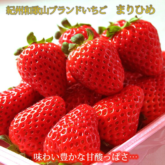 紀州和歌山ブランドいちご「まりひめ」約280g×2P ふるさと納税 いちご ※2026年1月上旬〜3月上旬頃に順次発送予定