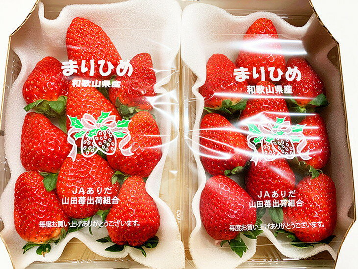 【ふるさと納税】紀州和歌山ブランドいちご「まりひめ」約280g×2P ふるさと納税 いちご ※2026年1月上旬〜3月上旬頃に順次発送予定 サムネイル2