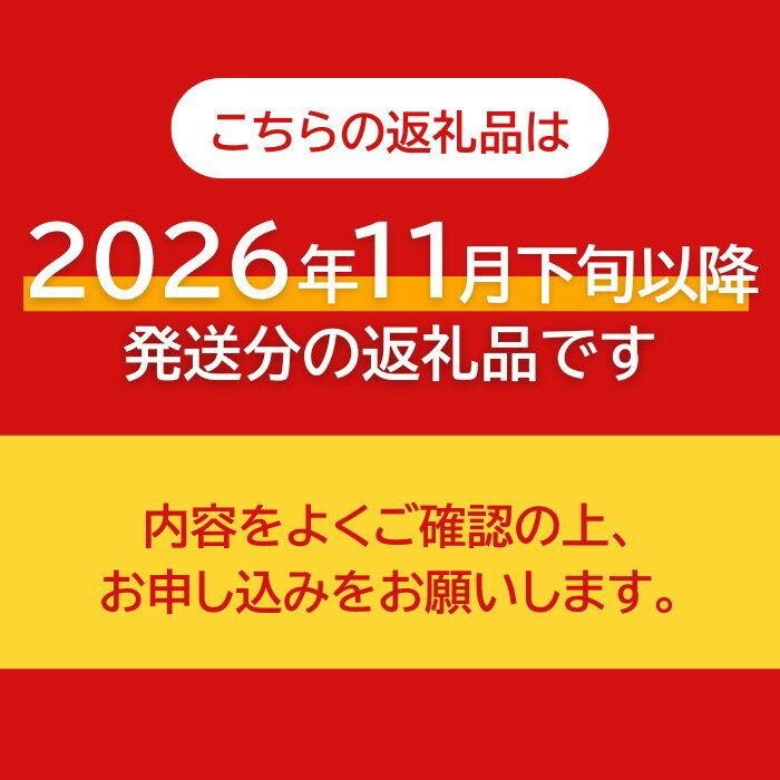 【ふるさと納税】【先行予約】高級ブランド田村みかん 5kg◇ ふるさと納税 みかん｜ 蜜柑 柑橘 果物 フルーツ 糖度 甘い 濃厚 コク ジューシー 先行予約 みかん 国産 産地直送 人気 美浜町 - 画像2