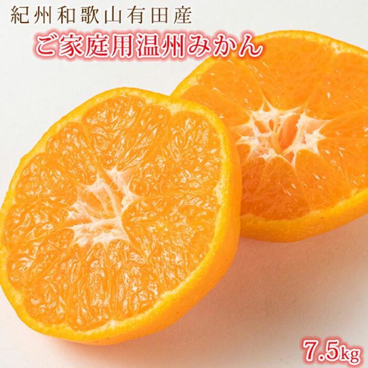 【ふるさと納税】〈定期便〉【10・11・12月 全3回】和歌山産 みかんと柿のお楽しみ 定期便 【ご家庭用】【魚鶴】◇ サムネイル3