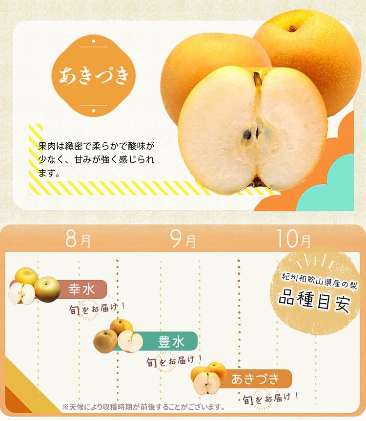 【ふるさと納税】紀州和歌山産の梨 3玉 化粧箱入◇ ※離島への配送不可 ※2026年8月中旬頃〜2026年9月上旬頃に順次発送予定 サムネイル3