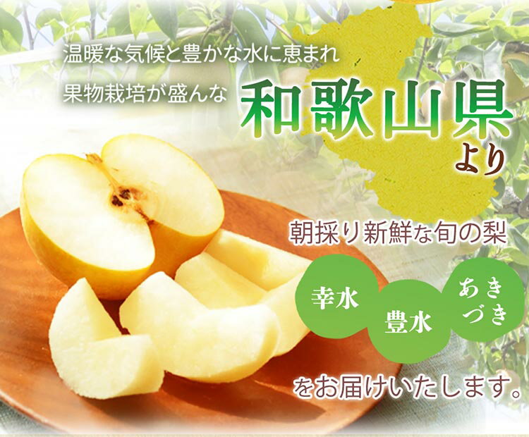 【ふるさと納税】紀州和歌山産の梨 約2kg 化粧箱入◇ ※離島への配送不可 ※2026年8月中旬頃〜2026年9月上旬頃に順次発送予定 サムネイル2