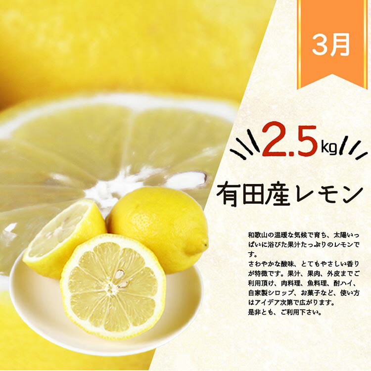 【ふるさと納税】〈定期便〉【1・3・7月 全3回】紀州和歌山産旬のフルーツセット（あんぽ柿・レモン・桃） ※離島への配送不可 サムネイル3