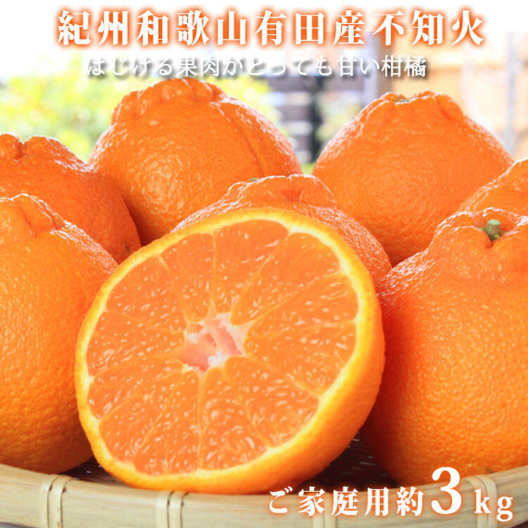 【ご家庭用訳有り】紀州有田産不知火(しらぬひ)約3kg ※2026年2月中旬〜3月中旬頃に順次発送予定