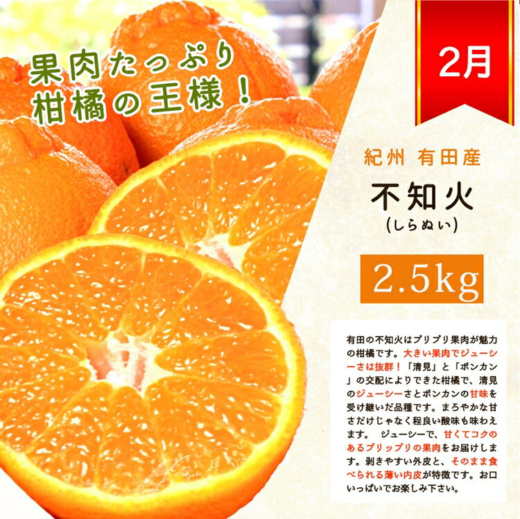 【ふるさと納税】〈定期便〉【1・2・3・4月 全4回】紀州和歌山産旬の柑橘セット(みかん・不知火・せとか・清見) サムネイル3