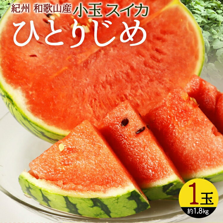 【ふるさと納税】〈定期便〉【2・4・6・8・10・12月 全6回】紀州和歌山産旬のフルーツセット(不知火・清見・スイカ・桃・柿・みかん) サムネイル3