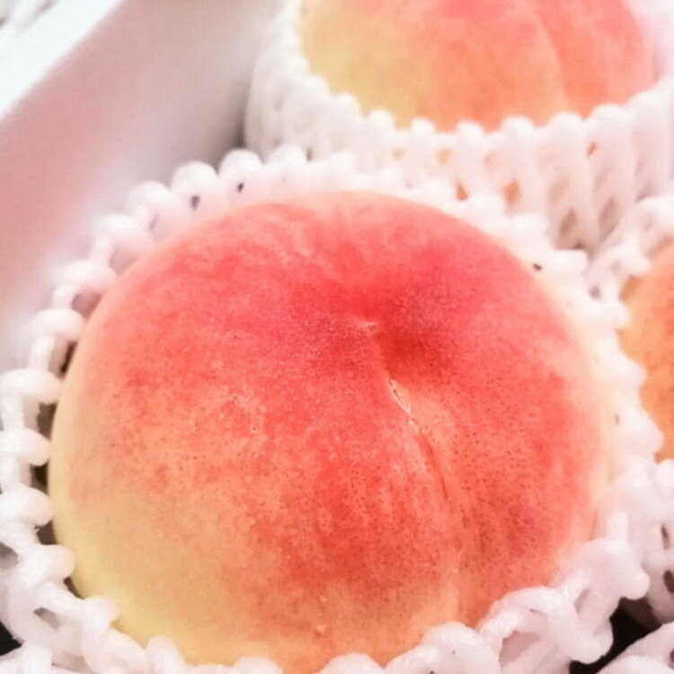 【ふるさと納税】フルーツ 定期便 全3回 【7月・8月・9月発送】 和歌山の夏の人気フルーツをお届け（桃・梨・シャインマスカット） ｜ 桃 葡萄 梨 和歌山県産 国産 果物 旬の果物 産地直送 サムネイル2