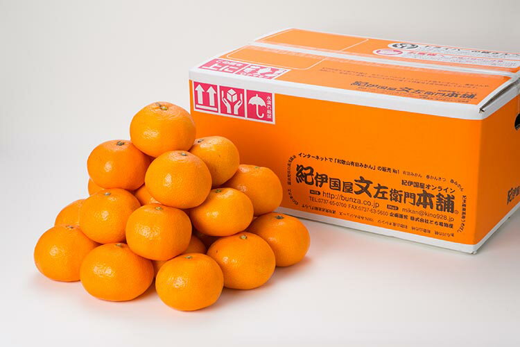 【ふるさと納税】ネーブルオレンジ［約4.5kg］和歌山県有田産 春みかん【果実サイズおまかせ】 ｜ 和歌山県産 柑橘 フルーツ 紀伊国屋文左衛門本舗 サムネイル3