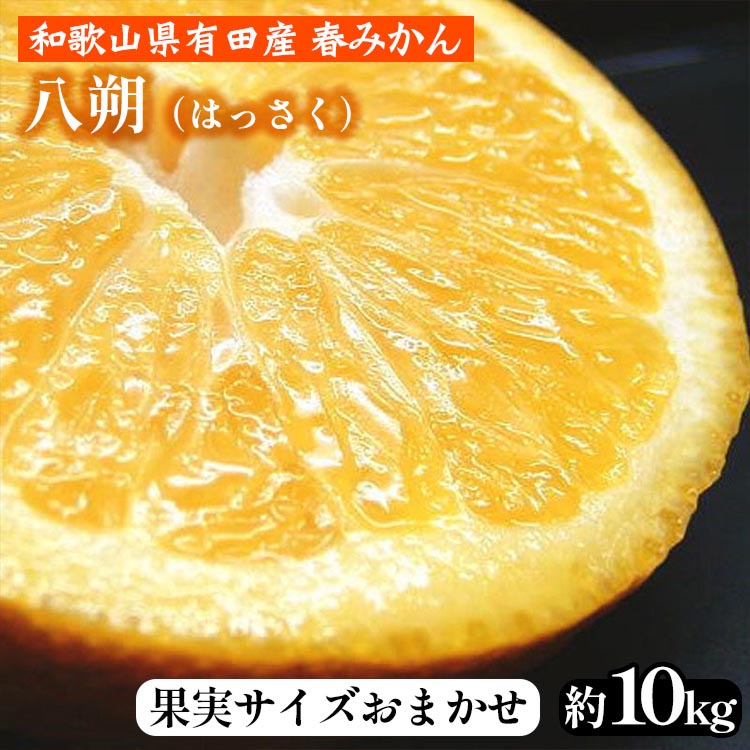 八朔（はっさく）［約10kg］和歌山県有田産 春みかん【果実サイズおまかせ】 ｜ 和歌山県産 柑橘 フルーツ 紀伊国屋文左衛門本舗