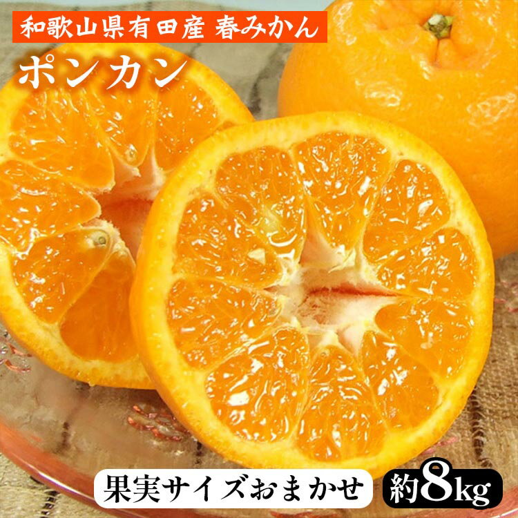 ポンカン［約8kg］和歌山県 有田産 春みかん 春柑橘【果実サイズおまかせ】 ｜ 和歌山県産 柑橘 フルーツ 紀伊国屋文左衛門本舗