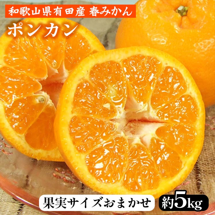 ポンカン［約5kg］和歌山県 有田産 春みかん 春柑橘【果実サイズおまかせ】 ｜ 和歌山県産 柑橘 フルーツ 紀伊国屋文左衛門本舗