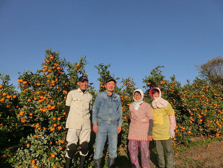 【ふるさと納税】宮川早生みかん贈答用特選　10kg箱入 | みかん 早生みかん 早生 贈答用 旬 柑橘 フルーツ 果物 果実 ミカン 産地直送 ※2025年11月下旬～12月中旬頃に順次発送予定 サムネイル2