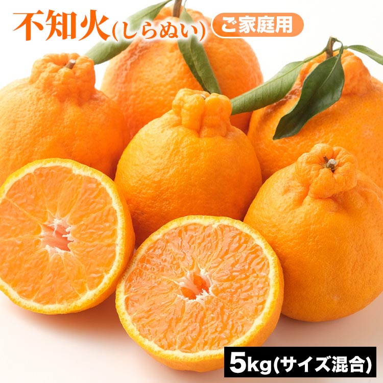 ご家庭用 不知火 (しらぬい) サイズ混合 5kg | みかん 柑橘 和歌山 みかん 不知火 しらぬい 家庭用 フルーツ 果物 5kg ※2026年1月下旬～3月下旬頃に順次発送予定