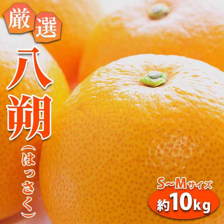 みかん 八朔 厳選 S~Mサイズ 約10kg｜GOGO農園 和歌山県 日高川町 はっさく みかん 柑橘 蜜柑 フルーツ 送料無料