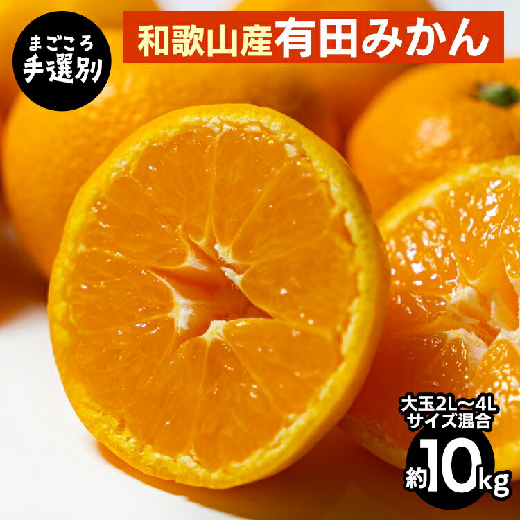 【まごころ手選別】和歌山の有田みかん 10kg 大玉(2L～4Lサイズ混合) ※2025年11月上旬～2026年1月下旬頃に順次発送予定