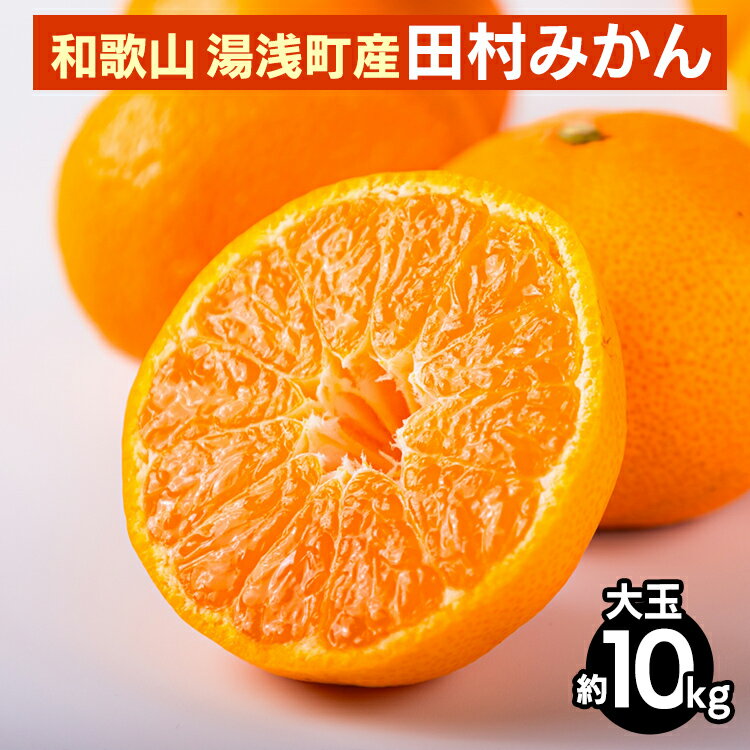 和歌山 湯浅町産 田村みかん 10kg【大玉】 ※2025年11月中旬～2026年1月中旬頃に順次発送予定