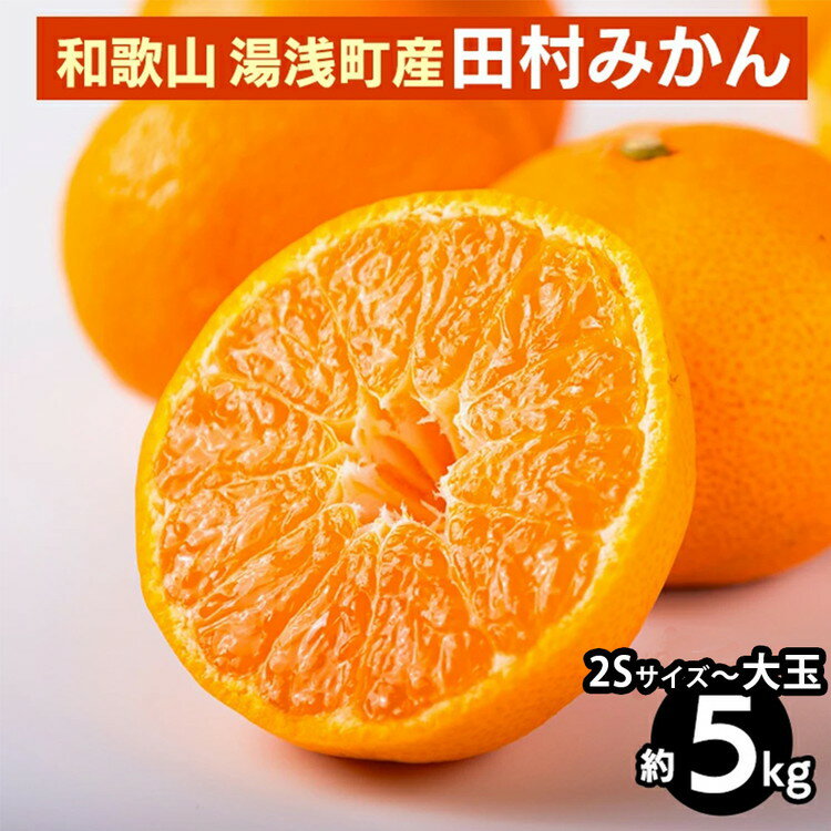 【選べるサイズ】和歌山 湯浅町産 田村みかん｜柑橘 みかん フルーツ 果物 ※2025年11月中旬～2026年1月中旬頃に順次発送予定