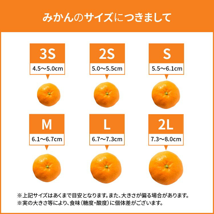 【ふるさと納税】【選べるサイズ】和歌山 湯浅町産 田村みかん｜柑橘 みかん フルーツ 果物 ※2025年11月中旬～2026年1月中旬頃に順次発送予定 サムネイル2