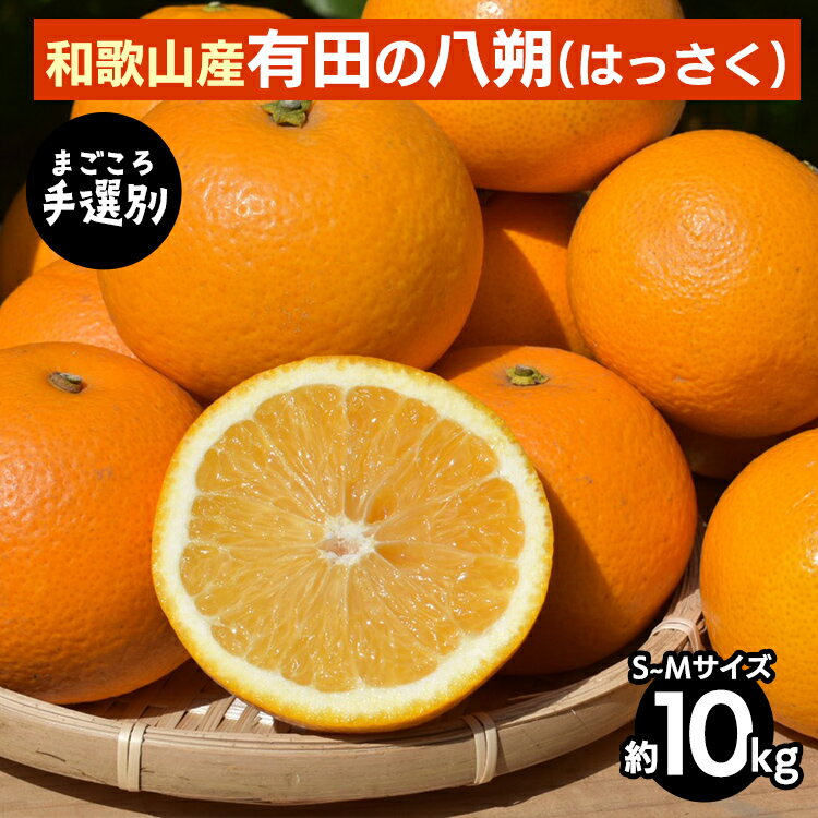【まごころ手選別】有田のはっさく【八朔】約10kg　S～Mサイズ ※2026年1月上旬～3月下旬頃に順次発送予定