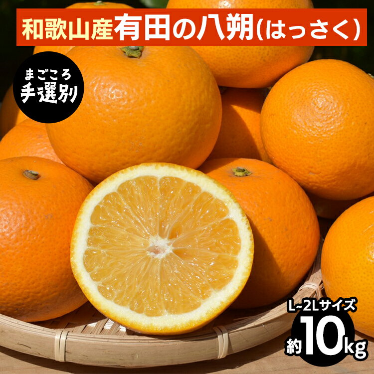 【まごころ手選別】有田のはっさく【八朔】約10kg　L～2Lサイズ ※2026年1月上旬～3月下旬頃に順次発送予定