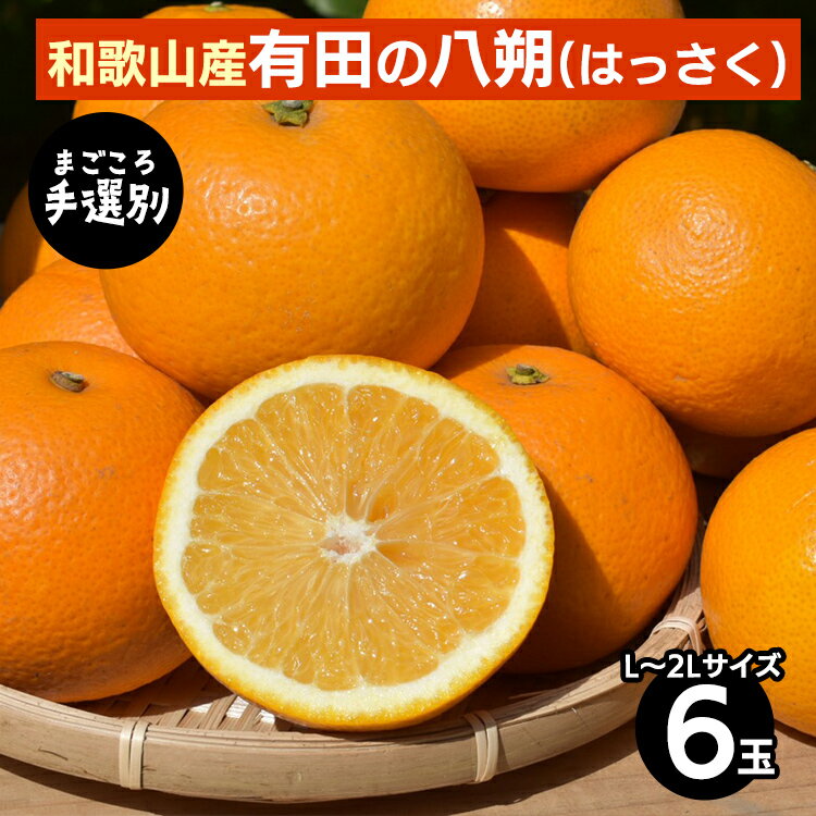【まごころ手選別】和歌山産有田のはっさく(6玉×1箱、L～2Lサイズ) ※2026年1月上旬～3月下旬頃に順次発送予定