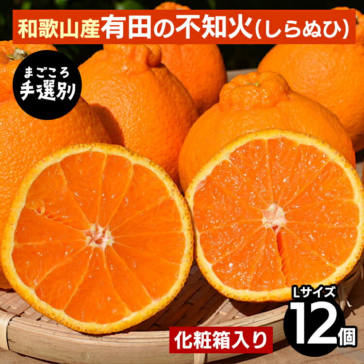 【まごころ手選別】和歌山産　有田の不知火(しらぬひ) 化粧箱(フルーツキャップ付き)Lサイズ12個入り ※2026年2月上旬～4月下旬頃に順次発送予定