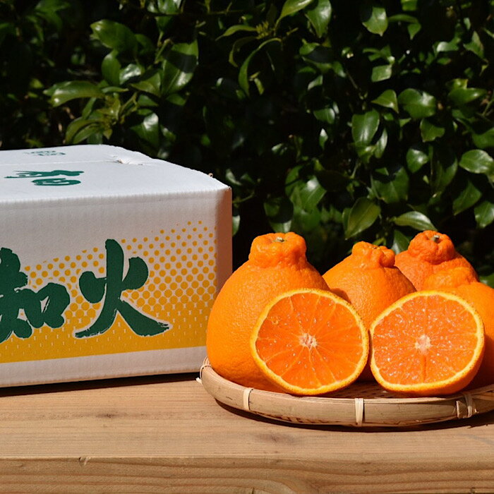 【ふるさと納税】【まごころ手選別】和歌山産　有田の不知火(しらぬひ) 化粧箱(フルーツキャップ付き)Lサイズ12個入り ※2026年2月上旬～4月下旬頃に順次発送予定 サムネイル2