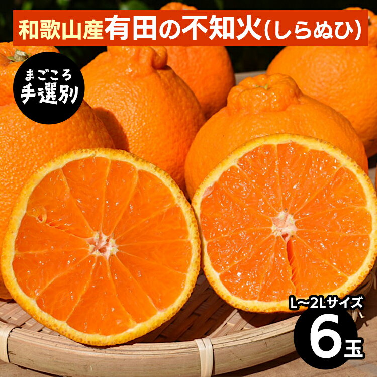 【まごころ手選別】和歌山産　有田の不知火(しらぬひ)(6玉×1箱、L～2Lサイズ) ※2026年2月上旬～4月下旬頃に順次発送予定