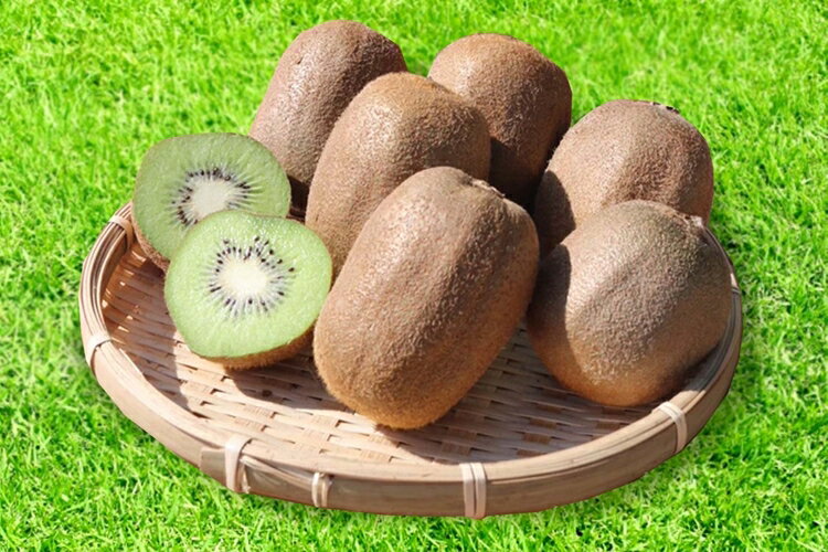 【ふるさと納税】【まごころ手選別】和歌山産　キウイフルーツ　約3.6kg(サイズ混合)　秀品 ※2026年1月下旬～3月中旬頃に順次発送予定 サムネイル3