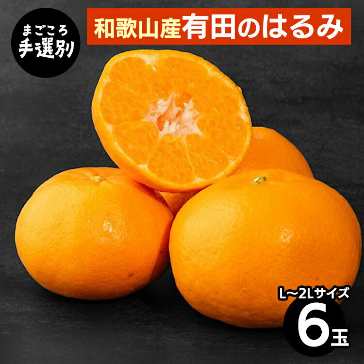 【まごころ手選別】和歌山産　有田のはるみ(L～2Lサイズ) 6玉 1箱 ※2026年1月中旬～2月下旬頃に順次発送予定
