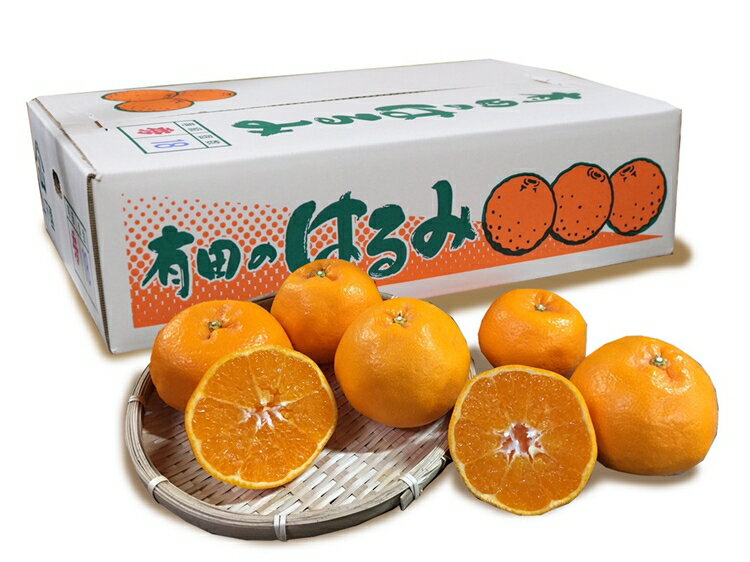 【ふるさと納税】【まごころ手選別】和歌山産　有田のはるみ(L～2Lサイズ) 6玉 1箱 ※2026年1月中旬～2月下旬頃に順次発送予定 サムネイル2