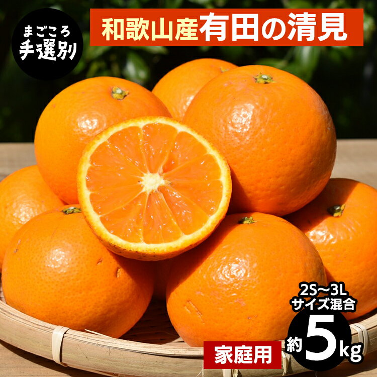 【まごころ手選別】和歌山産　有田の清見　約5kg(2S～3Lサイズ混合)【家庭用】 ※2026年3月上旬～4月下旬頃に順次発送予定