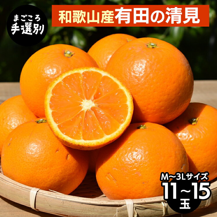 【まごころ手選別】和歌山産　有田の清見　11玉～15玉(M～3Lサイズ) ※2026年3月上旬～4月下旬頃に順次発送予定