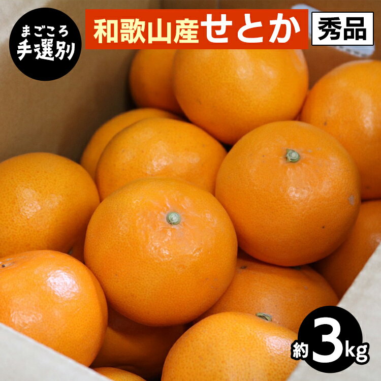 【まごころ手選別】和歌山産　せとか　約3kg　秀品 ※2026年2月下旬～4月中旬頃より順次発送予定