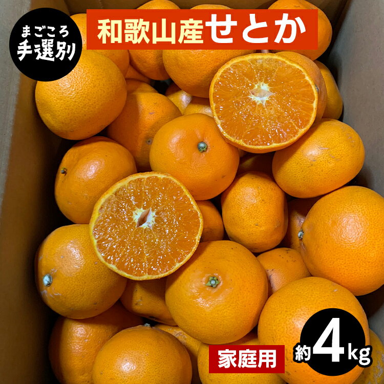 【まごころ手選別】和歌山産　せとか　約4kg 家庭用 ※2026年2月下旬～4月中旬頃より順次発送予定