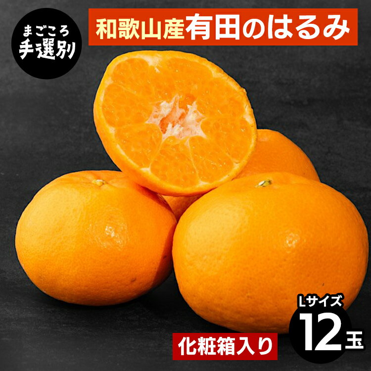 【まごころ手選別】和歌山産有田のはるみ　化粧箱入り　Lサイズ　12個入り ※2026年1月下旬～2月下旬頃より順次発送予定