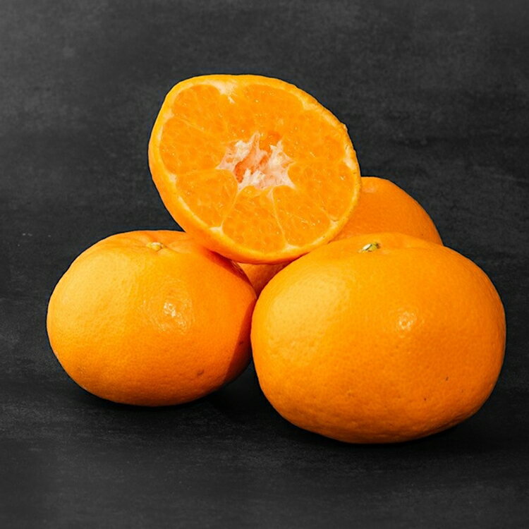 【ふるさと納税】【まごころ手選別】和歌山産有田のはるみ　化粧箱入り　Lサイズ　12個入り ※2026年1月下旬～2月下旬頃より順次発送予定 サムネイル3